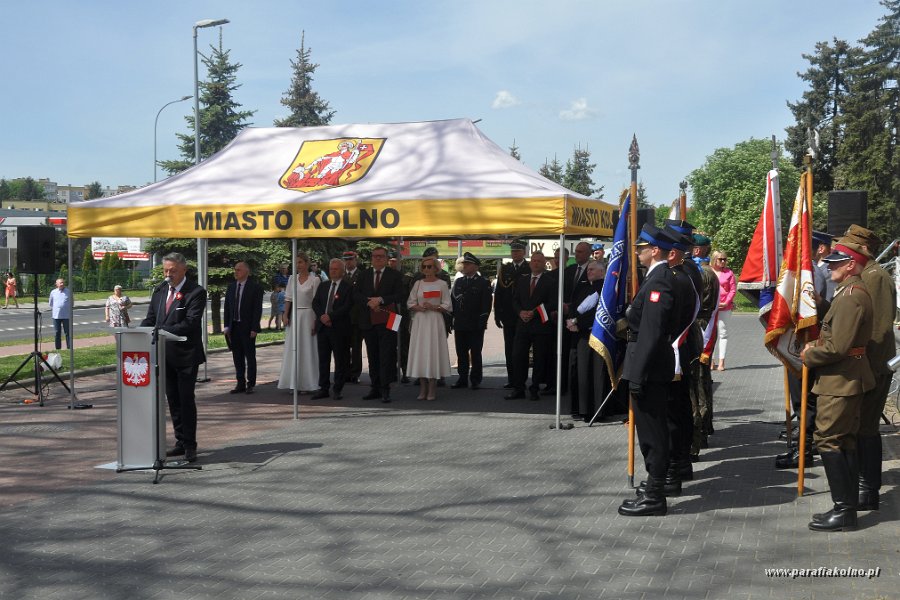 137 Patriotyczna manifestacja.jpg